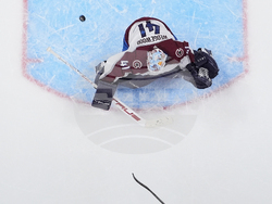 Avalanche Predators Hockey