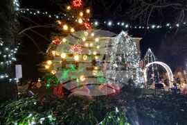 Ямбол - коледни елхи