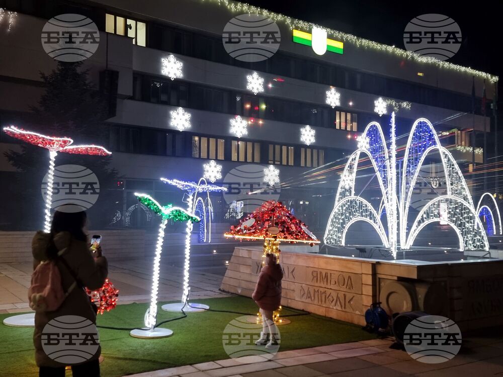 Ямбол - коледни елхи