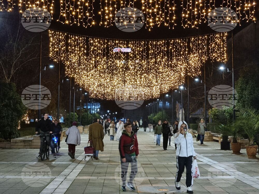 Ямбол - коледни елхи