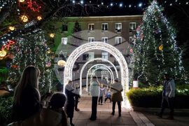 Ямбол - коледни елхи