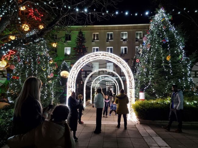 Ямбол - коледни елхи