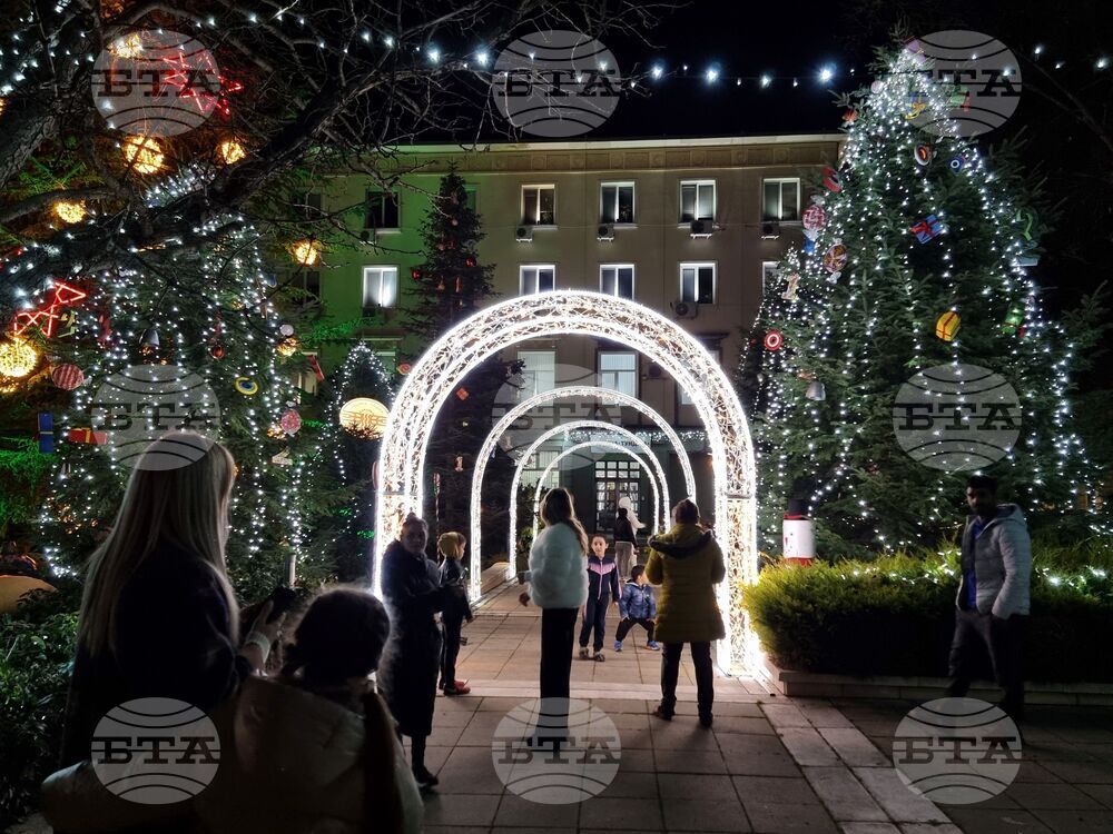 Ямбол - коледни елхи