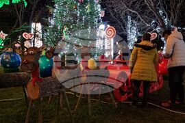 Ямбол - коледни елхи