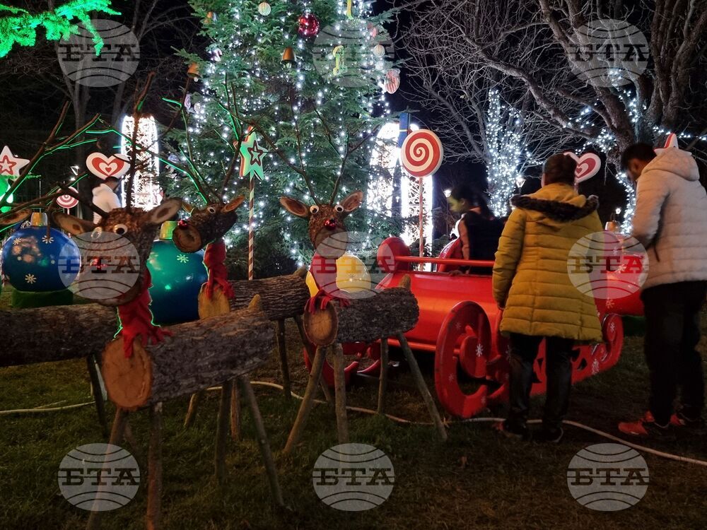 Ямбол - коледни елхи