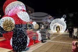 Ямбол - коледни елхи