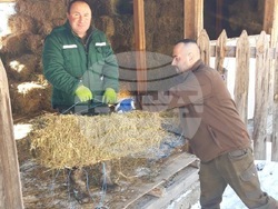 Снимка: Южноцентрално държавно предприятие – гр. Смолян