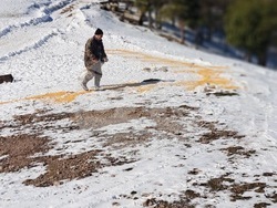 Снимка: Южноцентрално държавно предприятие – гр. Смолян