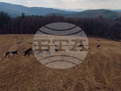 Снимка: Южноцентрално държавно предприятие – гр. Смолян