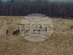 Снимка: Южноцентрално държавно предприятие – гр. Смолян