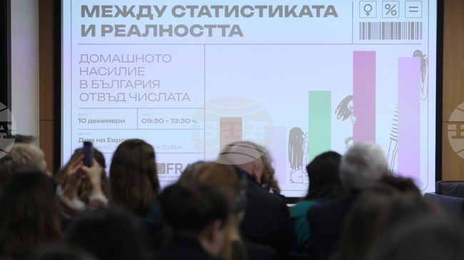 Насилието срещу жени и домашното насилие остават сред най-сериозните предизвикателства за обществото и държавата, смятат експерти 