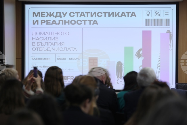 Bulgarian Fund for Women, EU Agency for Fundamental Rights Hold Conference on Domestic Violence