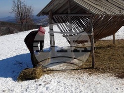 Снимка: Южноцентрално държавно предприятие – гр. Смолян