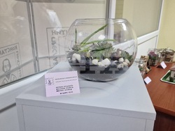 Шумен - благотворителен базар - Шуменски университет „Епископ Константин Преславски“