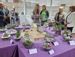 Шумен - благотворителен базар - Шуменски университет „Епископ Константин Преславски“