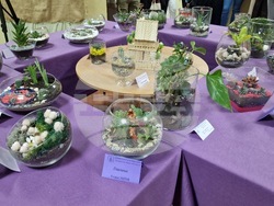 Шумен - благотворителен базар - Шуменски университет „Епископ Константин Преславски“