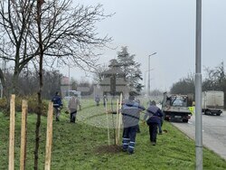 Снимка: Община Русе