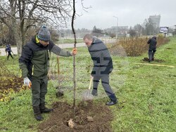 Снимка: Община Русе