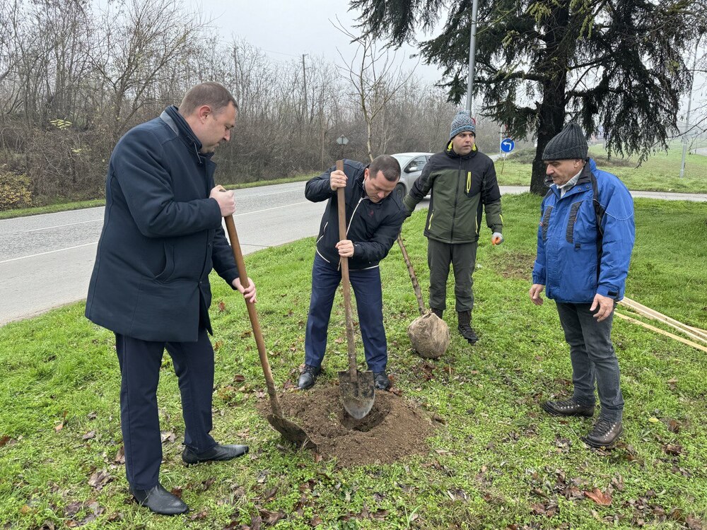 Кметът Пенчо Милков се включи в засаждането на 70 чинара по бул. „България“