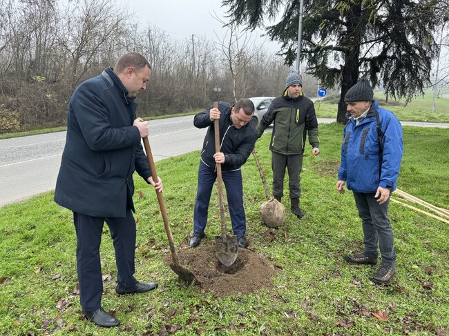 Кметът Пенчо Милков се включи в засаждането на 70 чинара по бул. „България“