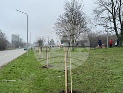 Снимка: Община Русе