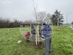 Снимка: Община Русе