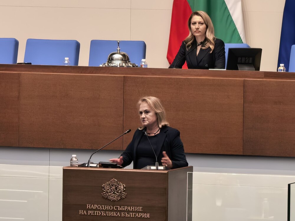 Декларация на Красимира Катинчарова от името на ПГ на ПП „Величие“: Мафията разклаща етническия мир