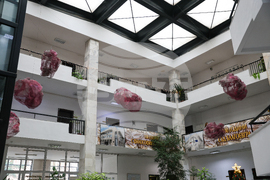 Благоевград - Окръжен съд - Районен съд - ден на отворени врати