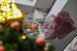 Благоевград - Окръжен съд - Районен съд - ден на отворени врати