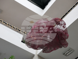 Благоевград - Окръжен съд - Районен съд - ден на отворени врати