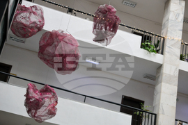 Благоевград - Окръжен съд - Районен съд - ден на отворени врати