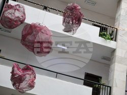 Благоевград - Окръжен съд - Районен съд - ден на отворени врати