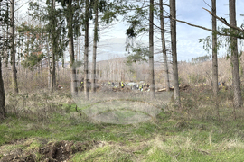 Шипка - залесяване