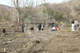 Шипка - залесяване