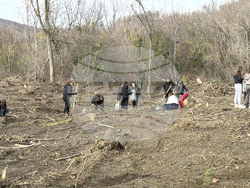 Шипка - залесяване