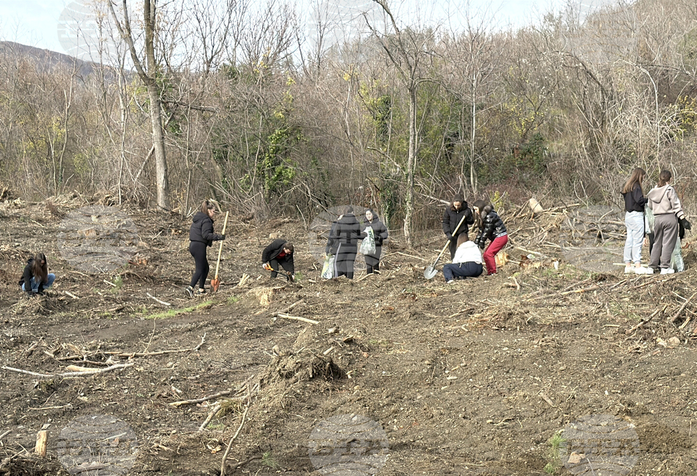 Шипка - залесяване