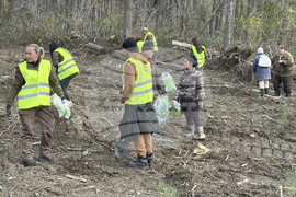 Шипка - залесяване
