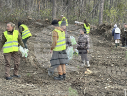 Шипка - залесяване