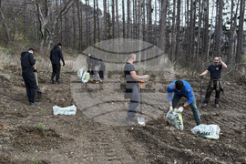 Шипка - залесяване