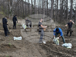 Шипка - залесяване