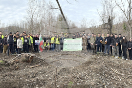 Шипка - залесяване