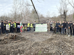 Шипка - залесяване