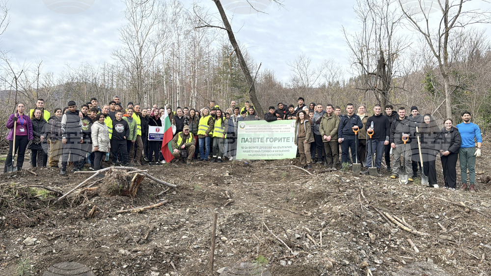Шипка - залесяване