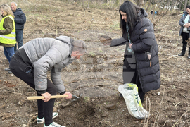 Шипка - залесяване