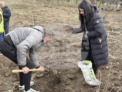 Шипка - залесяване