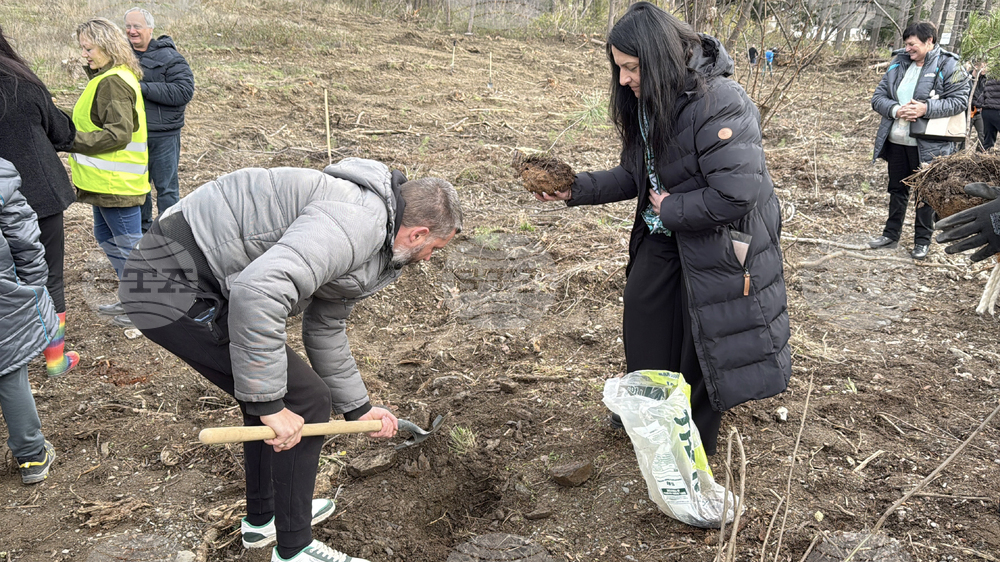 Шипка - залесяване