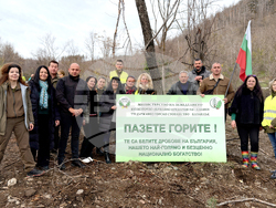 Шипка - залесяване