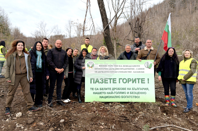 Шипка - залесяване