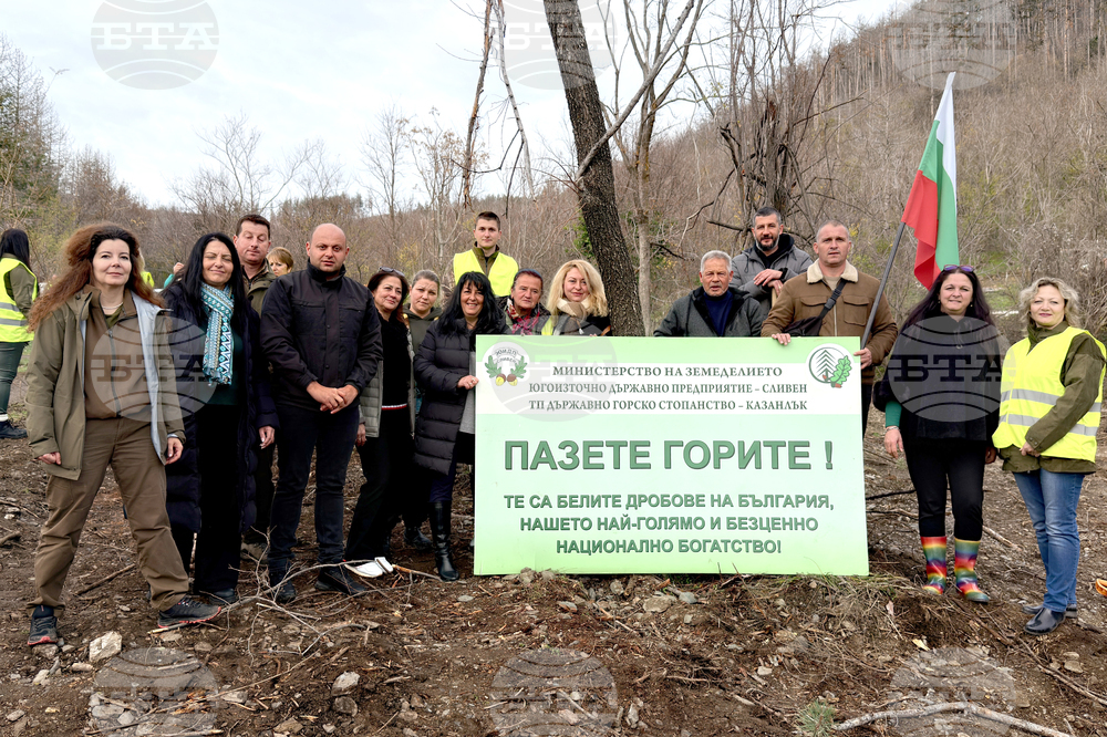 Шипка - залесяване