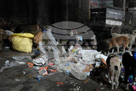 India Kashmir Daily Life